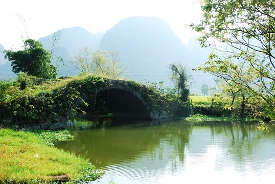 會仙河風(fēng)光