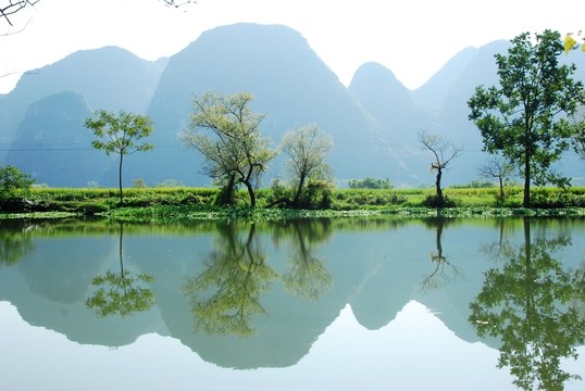 會仙河風(fēng)光