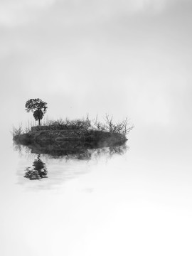 水中樹 黑白裝飾