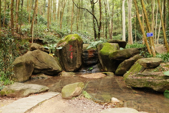 森林公園