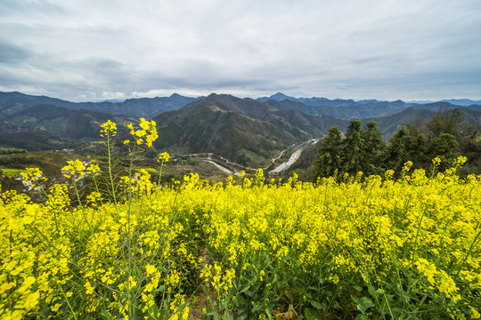 石潭風光