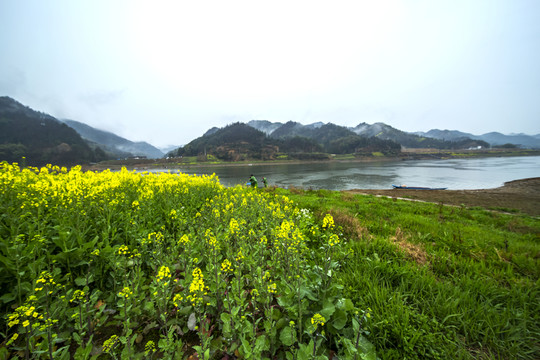 新安江風光