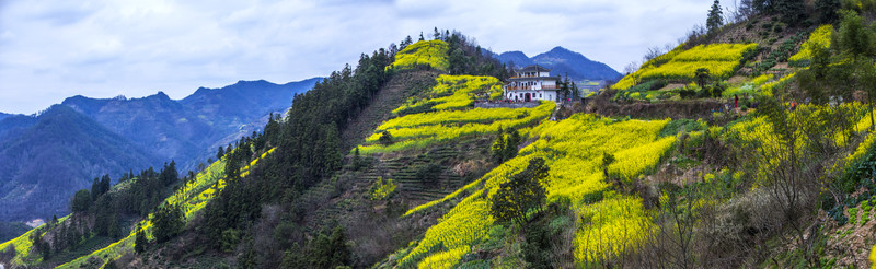 石潭春色風(fēng)光全景圖