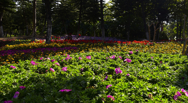 海珠湖公園