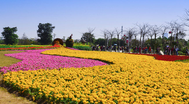 海珠湖公園
