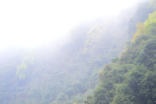 山霧