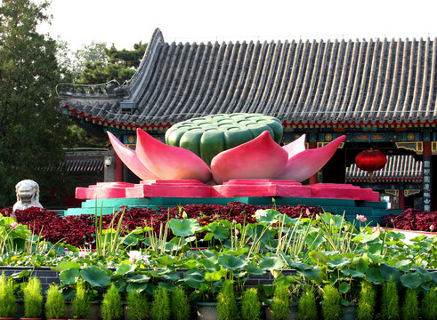 圓明園之夢 高格