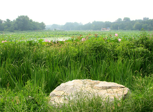 圓明園之夢(mèng) 高格