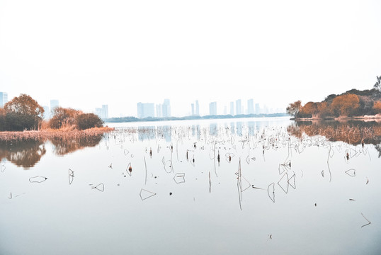 長廣溪濕地公園