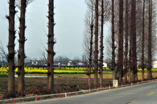 路邊的風景