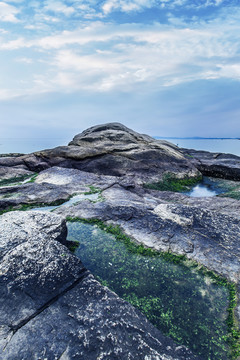 礁石 海邊