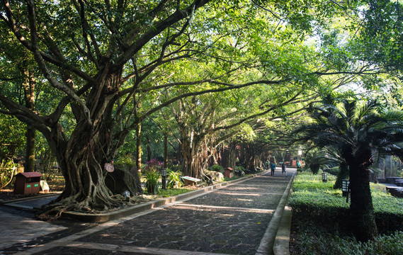 風(fēng)景 公園
