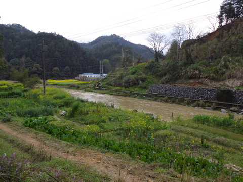 河畔菜地