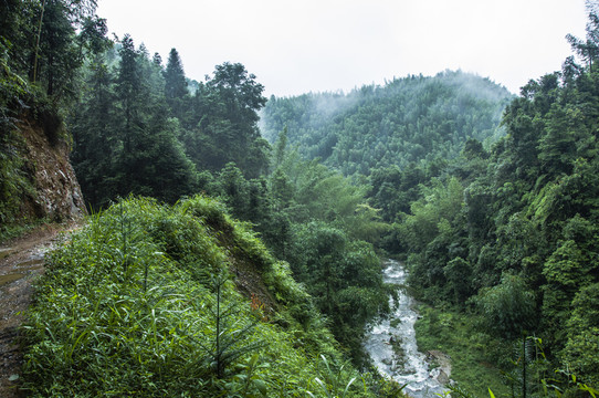 霧色山景