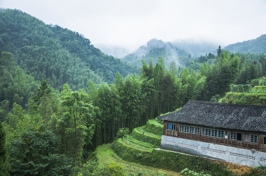 霧色山景