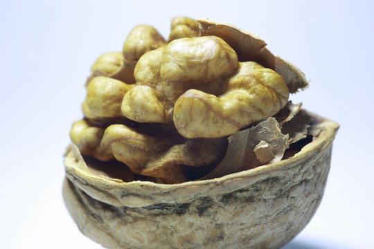 紙皮核桃