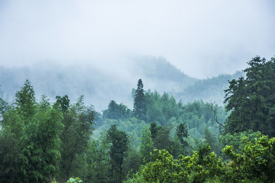 霧色山景