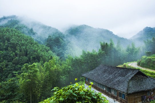 霧色山景