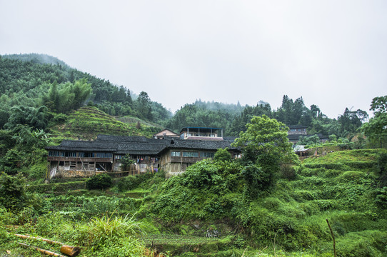 霧色山景