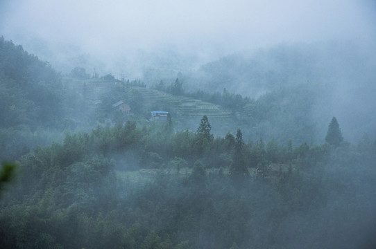 霧色山景