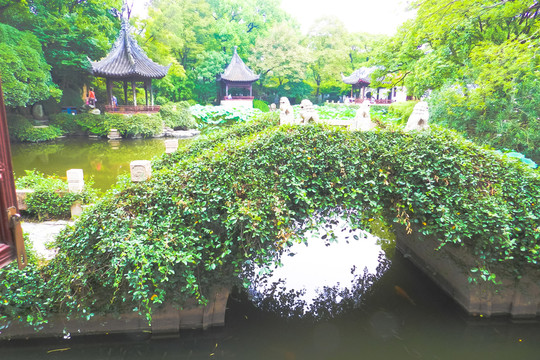 石橋 植物墻 園林小景