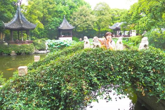 石橋 植物墻 園林小景