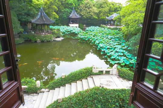 石橋 植物墻 園林小景