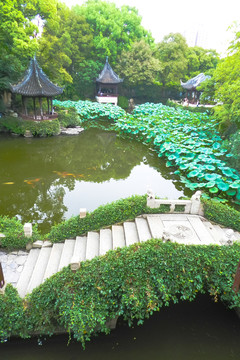 石橋 植物墻 園林小景