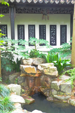 石橋 植物墻 園林小景