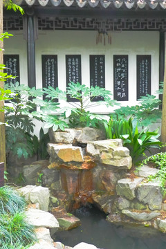 石橋 植物墻 園林小景