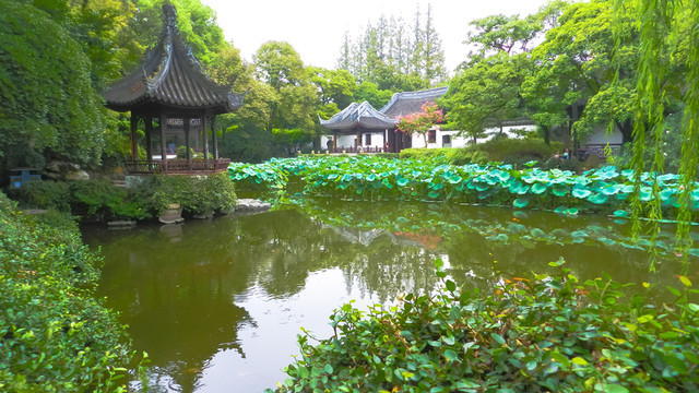 中式木門木窗  雕花木窗