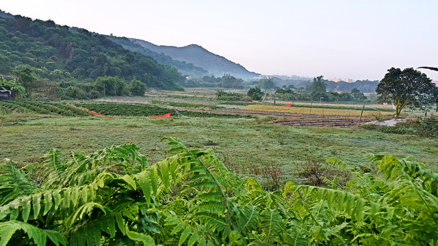 田園 風(fēng)光 景色 插圖