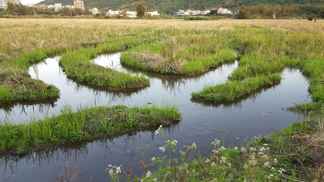田園 風(fēng)光 景色 插圖