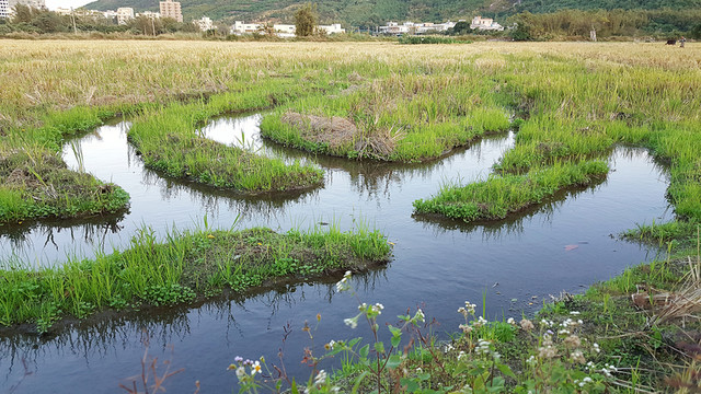 田園 風(fēng)光 景色 插圖