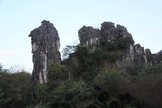山石