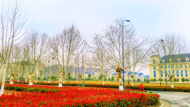 河南農(nóng)業(yè)大學(xué)校園風(fēng)景