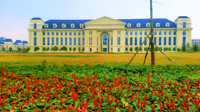 河南農(nóng)業(yè)大學(xué)校園風(fēng)景