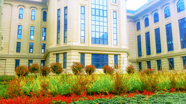 河南農(nóng)業(yè)大學(xué)校園風(fēng)景