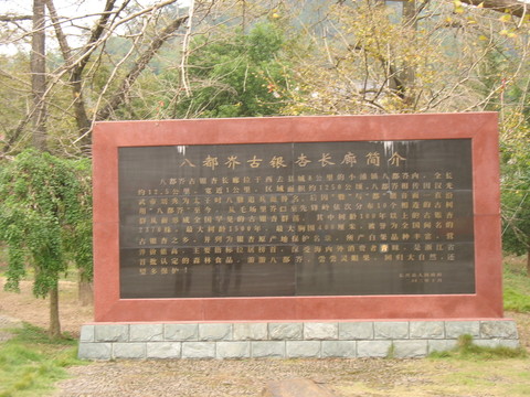 銀杏長(zhǎng)廊簡(jiǎn)介