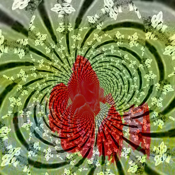 拼花花型裝飾畫 無分層