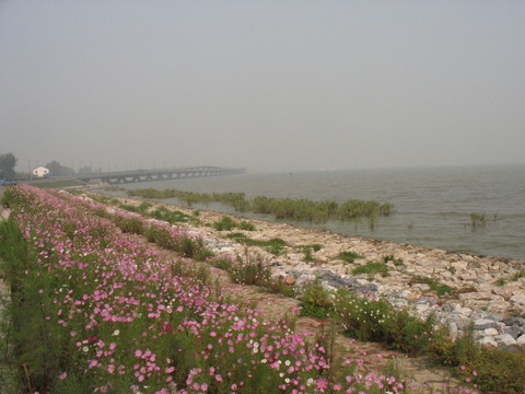 太湖堤岸