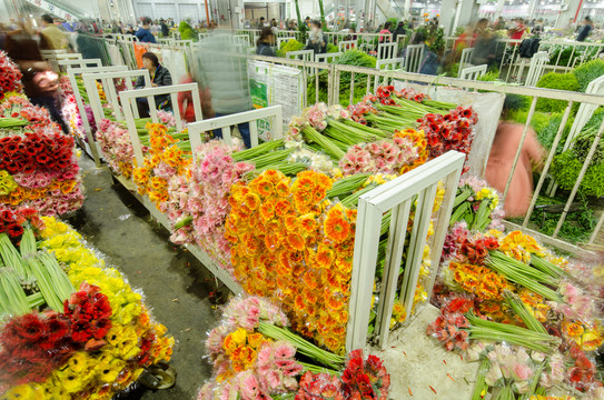 昆明斗南花市夜市