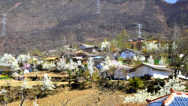 新農(nóng)村建設