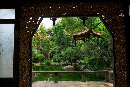 林中庭院