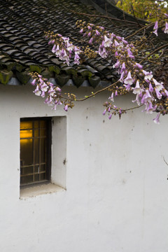 周莊