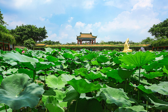 寶墨園景觀