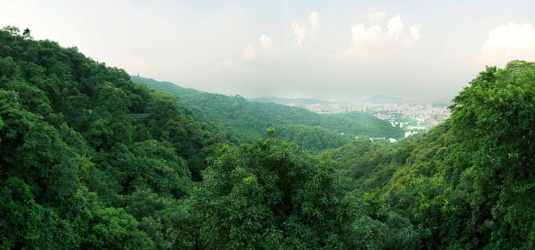 白云山全景