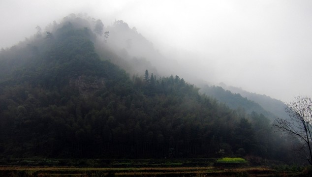 山霧
