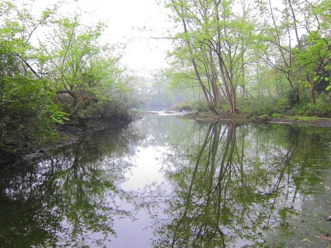 小河邊