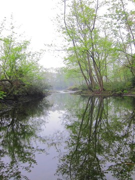 小河邊